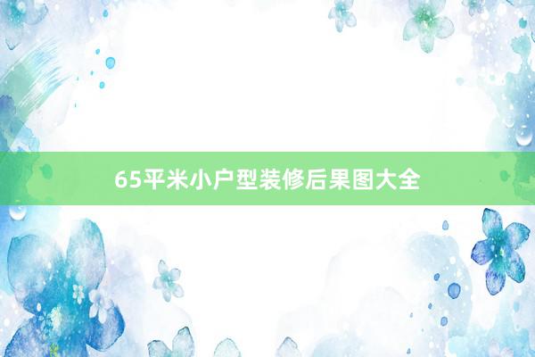 65平米小户型装修后果图大全