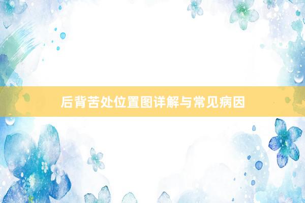后背苦处位置图详解与常见病因